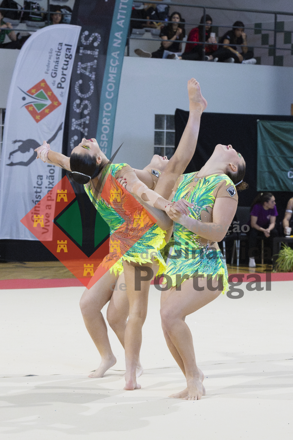 2080_Campeonato Nacional 1ª Div - ACRO